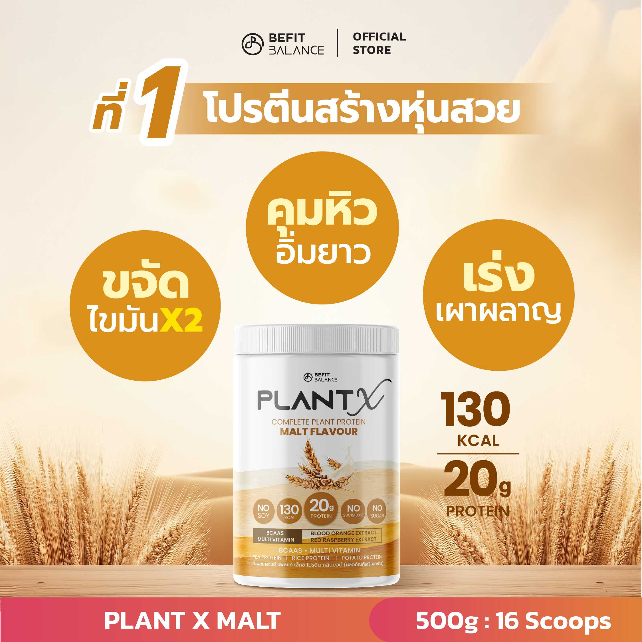 NEW! PLANT X MALT 500 g