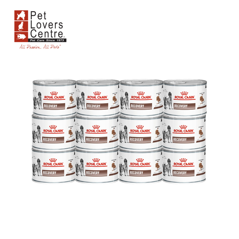 ROYAL CANIN (DR.) สุนัขและแมวประกอบการรักษาระยะพักฟื้น ดูแลหลังผ่าตัด เปียก RECOVERY 195 กรัม x 12