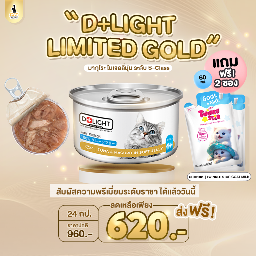 🌟 ราชาปลาแมว D+Light ฉลากทอง Limited มากุโระ ไซส์ 80 กรัม ยกลัง 24 กระป๋อง ส่งฟรี