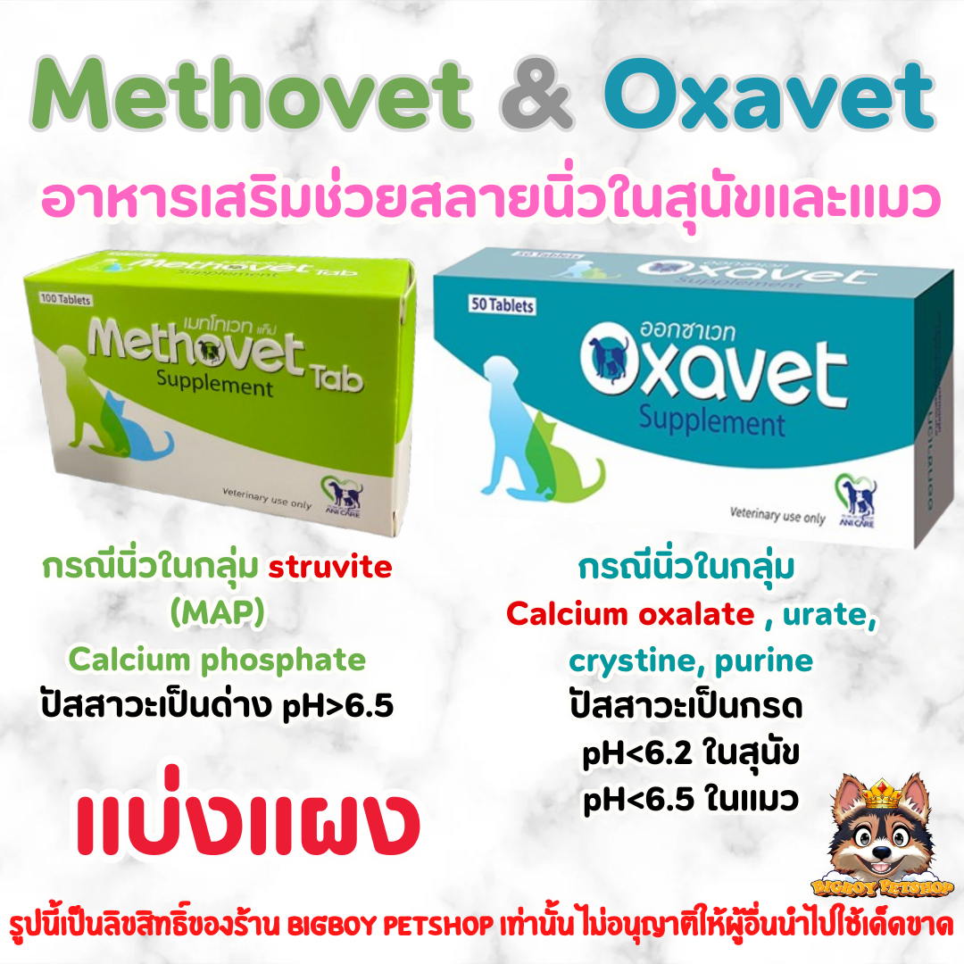 แบ่งแผง!🔥 Methovet & Oxavet [ของแท้] อาหารเสริมเพื่อสลายนิ่วในสุนัขและแมว ปรับค่า pH ของปัสสาวะ