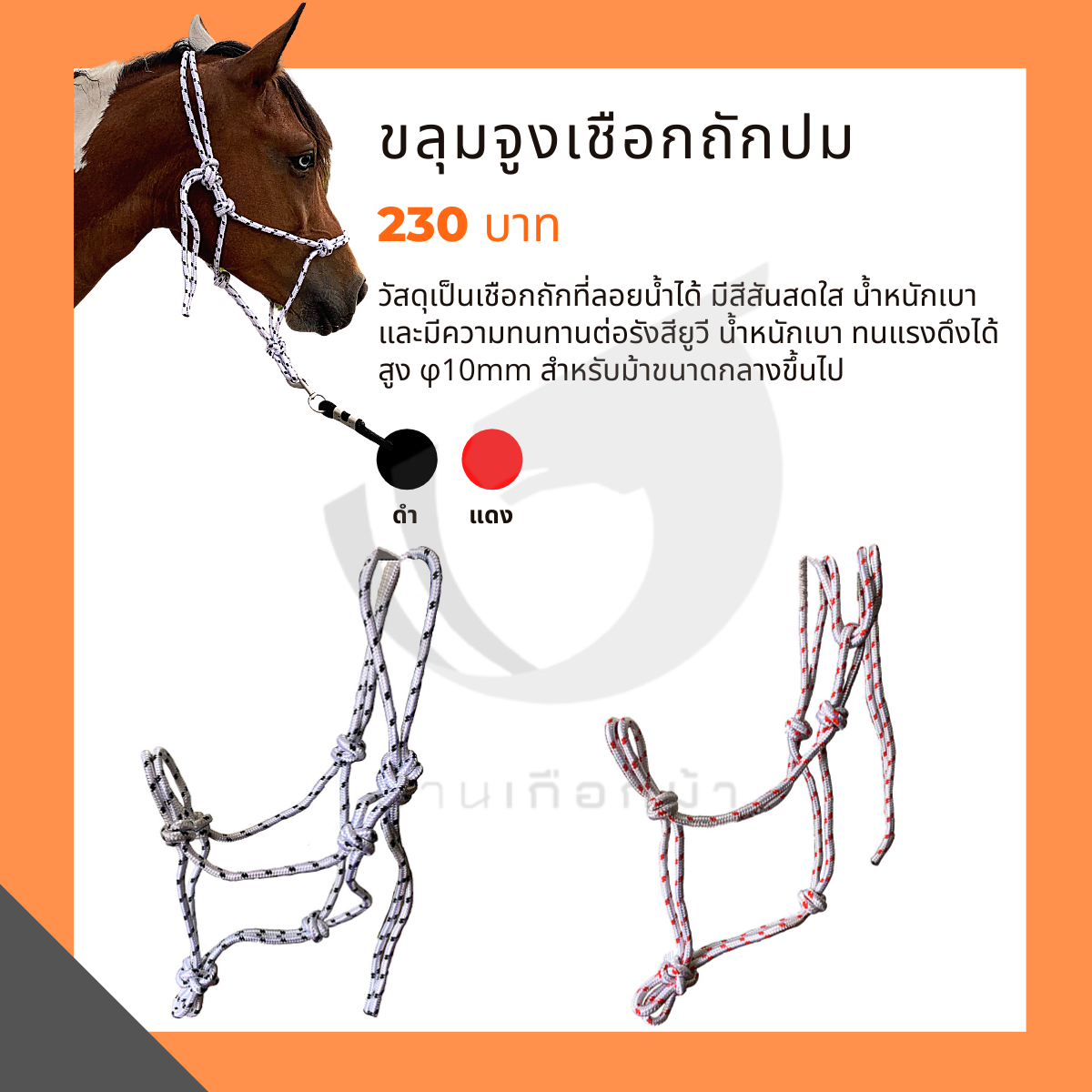 ขลุมจูงเชือกถักปม Knotted Halter
