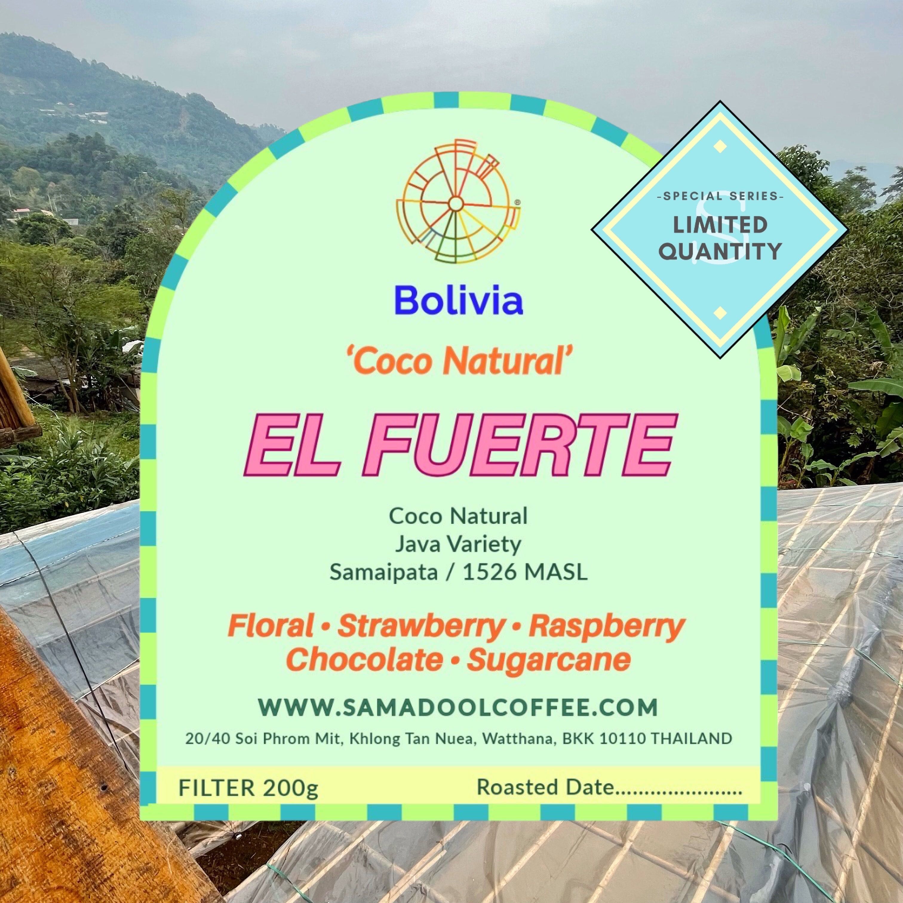 El Fuerte - Coco Natural ( Filter Roasted )