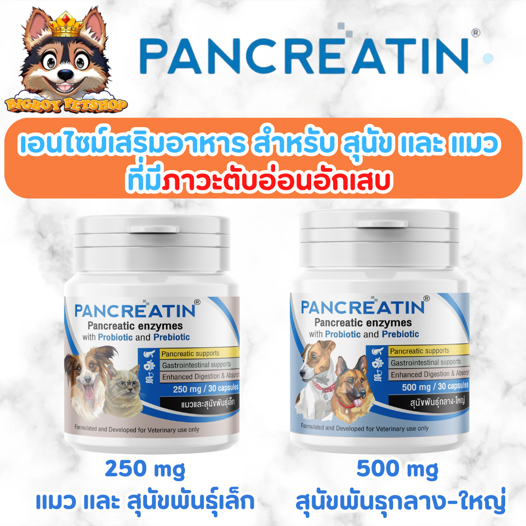 Pancreatin [ของแท้] ผลิตภัณฑ์เอ็นไซม์เสริมอาหาร สำหรับสุนัขและแมวที่มีภาวะตับอ่อนอักเสบ 30 แคปซูล