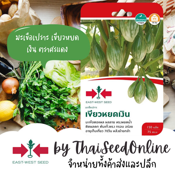 Sorndang(ศรแดง) Sorndang(ศรแดง) GGEW เมล็ดพันธุ์ มะเขือตอแหร มือเขือเปราะ เขียวหยดเงิน ประมาณ 150...