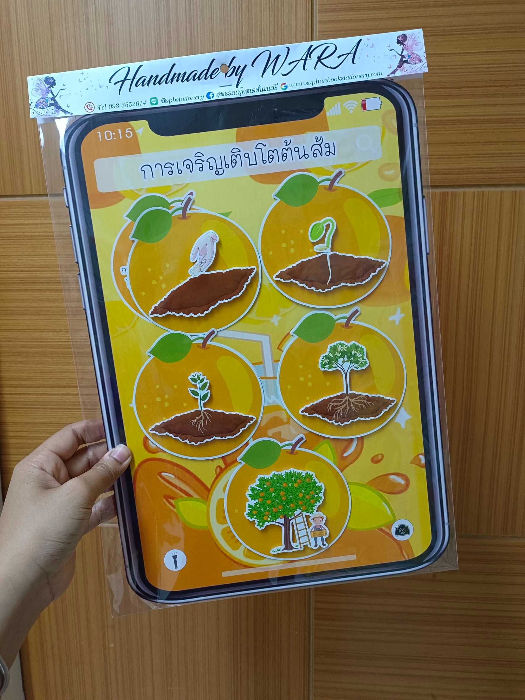 งานสื่อ ซัมซุง การเจริญเติบโตต้นส้ม งานฟิวเจอร์บอร์ด งานฝีมือ