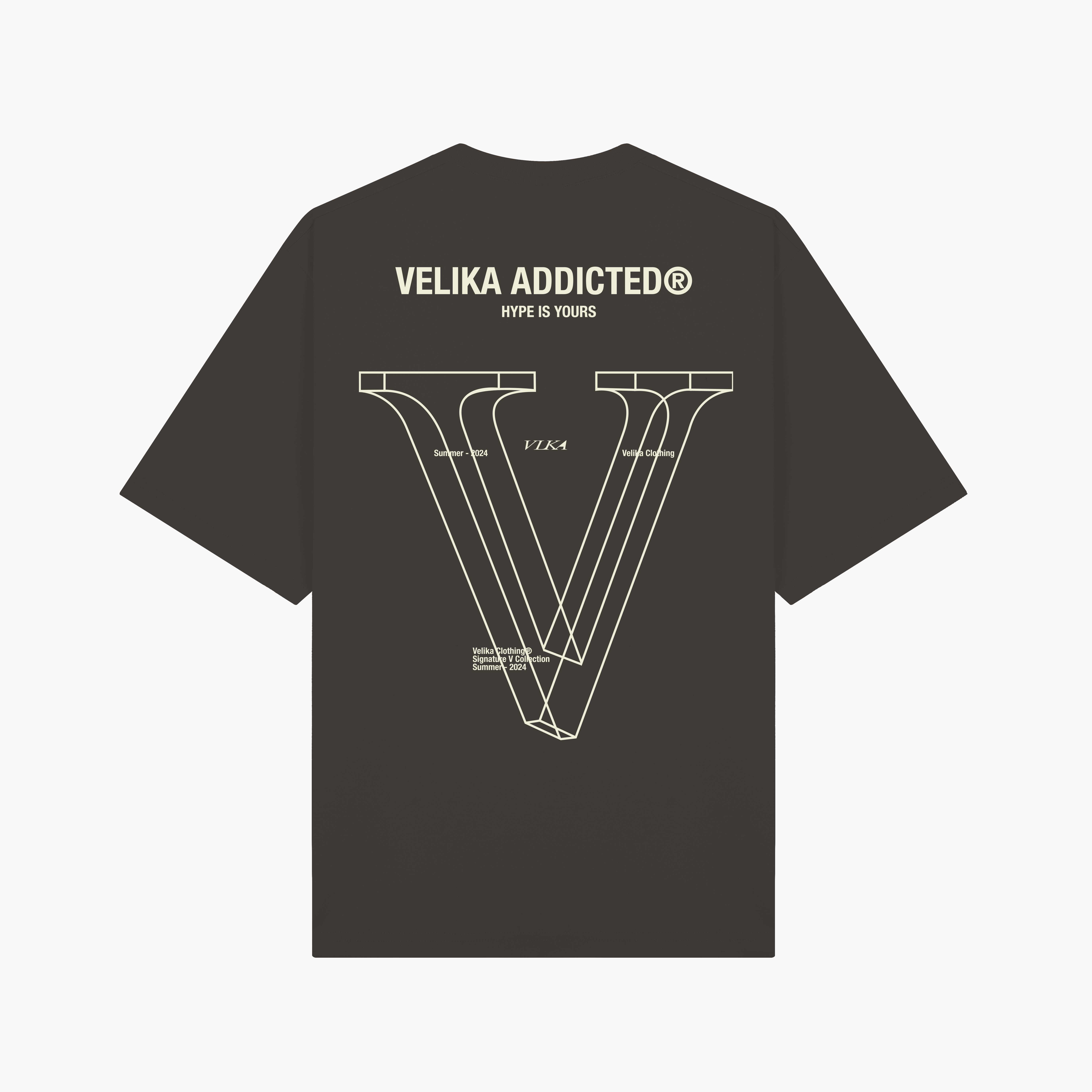 Signature V 2024 Oversize T-Shirt [DarkGrey]