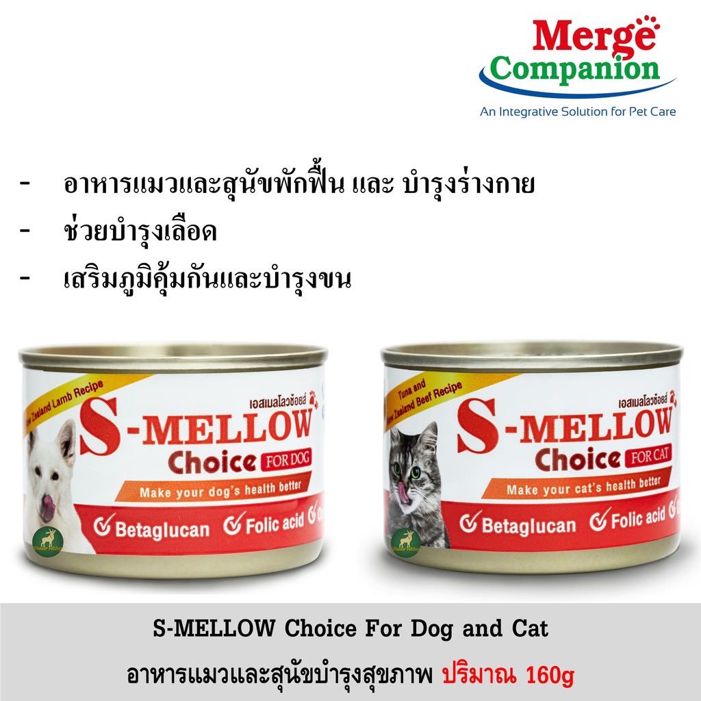 อาหารพักฟื้นสัตว์ป่วยสำหรับสุนัขและแมว