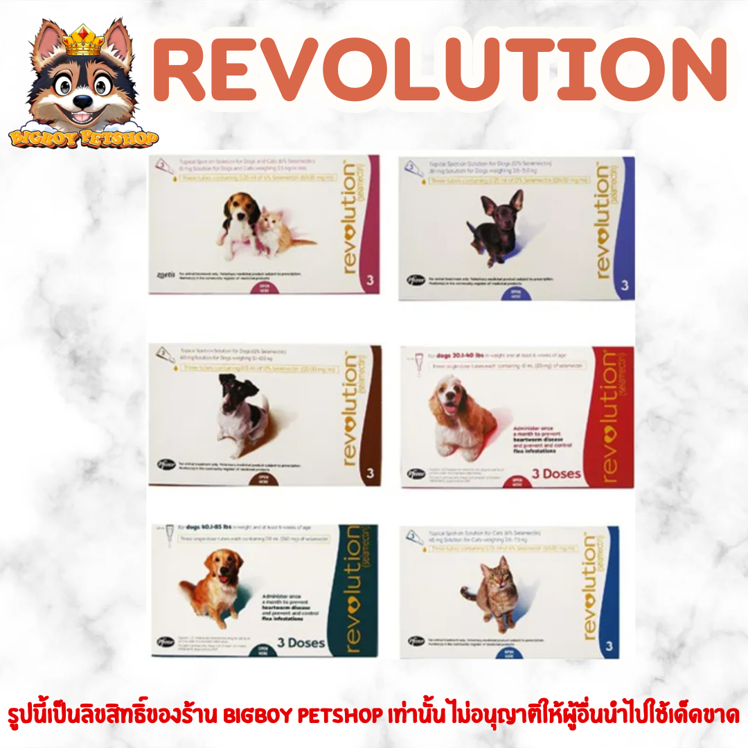 Revolution [1กล่อง=3หลอด]  สำหรับสุนัข และ แมว