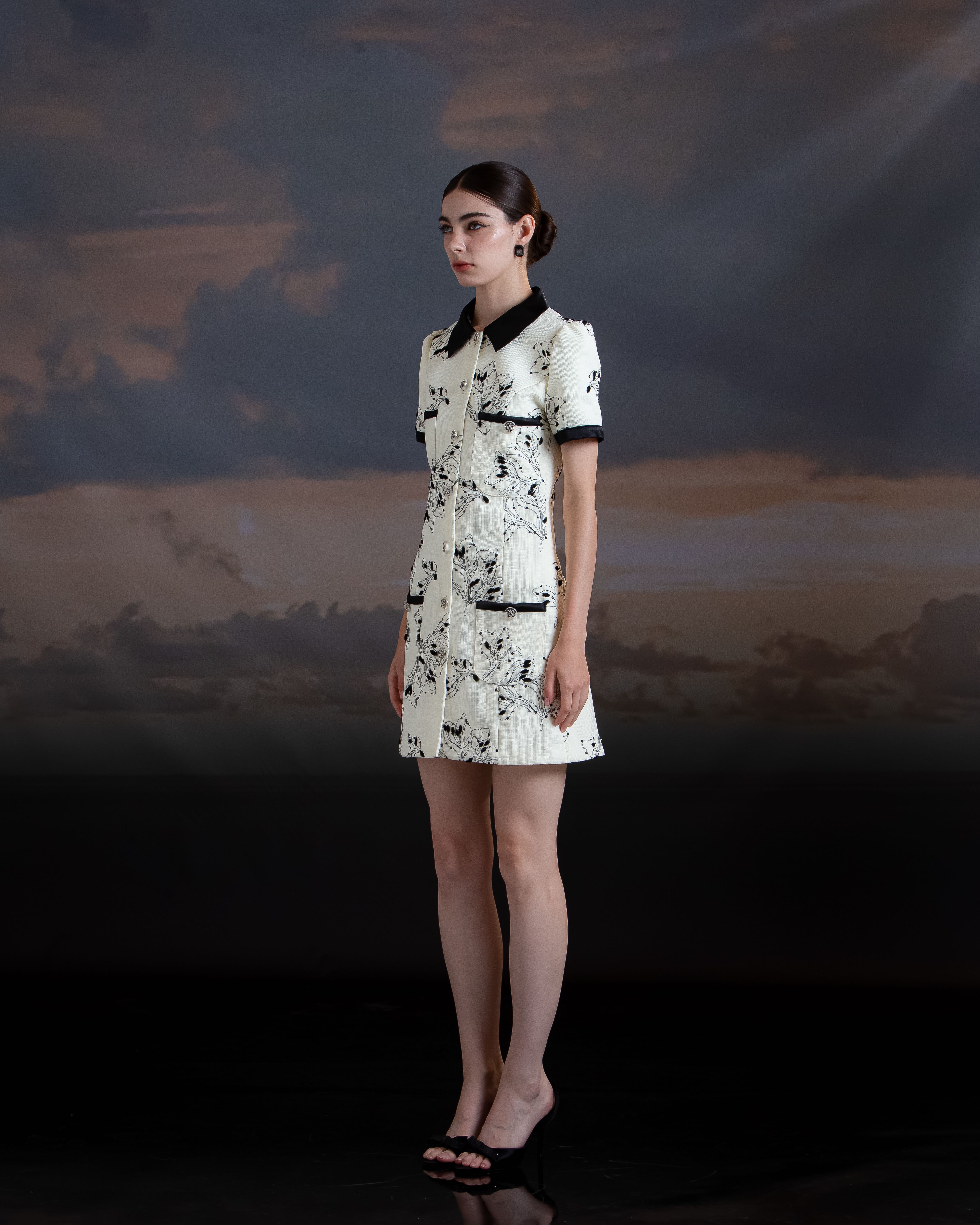 Mini Shirt Dress