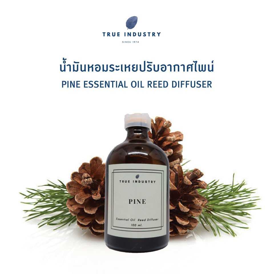 น้ำมันหอมระเหย ไพน์ สำหรับปรับอากาศ (Pine Essential Oil Reed Diffuser)