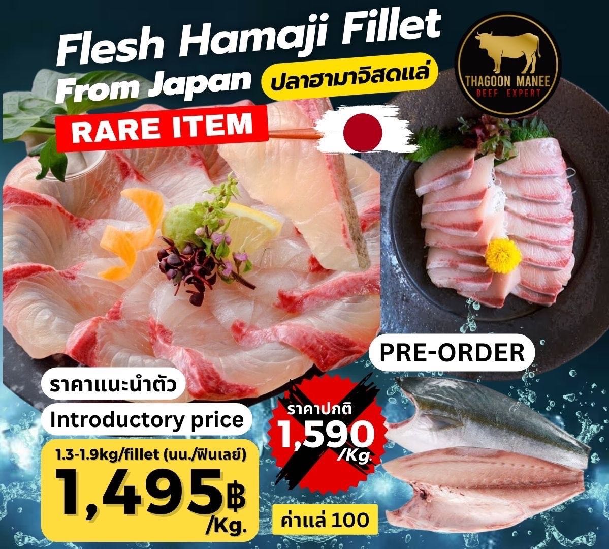 Flesh Hamaji Filet From Japan ปลาฮามาจิสดแล่