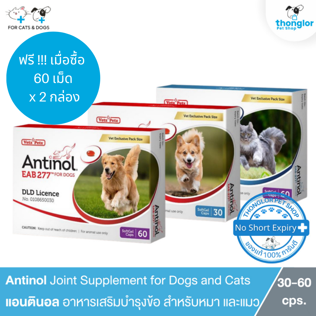 (ฟรี ! ของแถม ) Vetz Petz Antinol - แอนทินอล อาหารเสริมไขมัน บำรุงข้อ สำหรับสุนัขและแมว