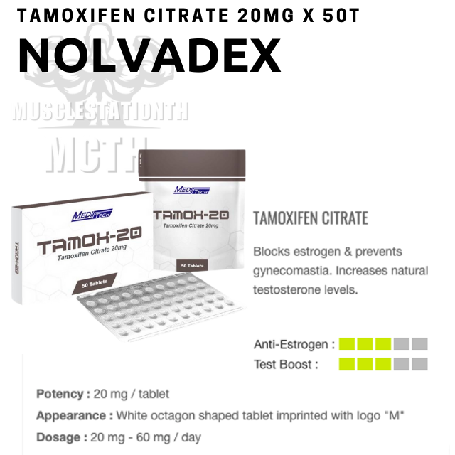 Nolvadex TAMOX-20 Meditech (Tamoxifen) (20mg×50t)