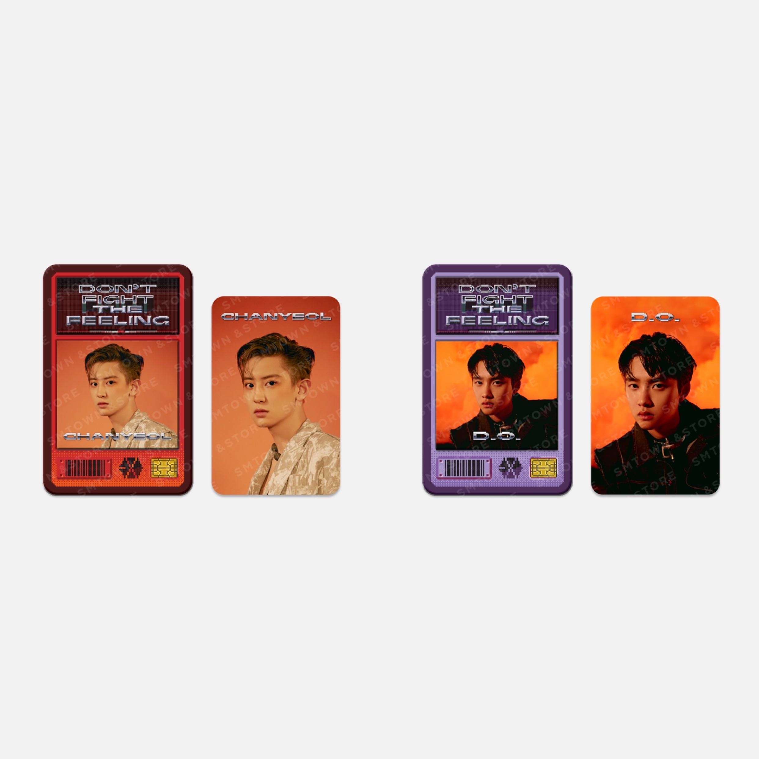 DFTF Magnet Set