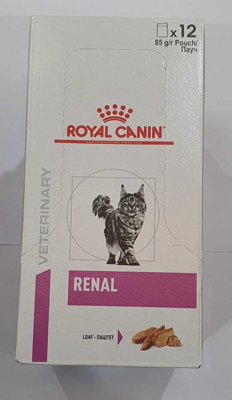 RENAL