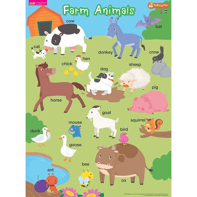 โปสเตอร์พลาสติก Farm Animals (ใช้กับ Talking Pen)