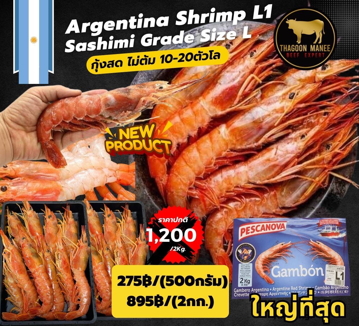 Argentina shirmp(กุ้งอาร์เจนติน่า)L1 ใหญ่ที่สุด