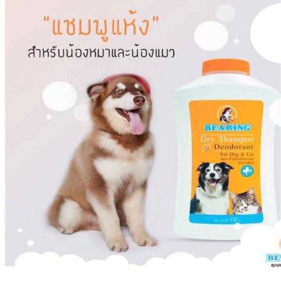 Bearing Deodorant แชมพูแห้งสุนัข แชมพูอาบน้ำแห้ง แชมพูแห้งแมว Dry Shampoo For Dog and Cat 350g
