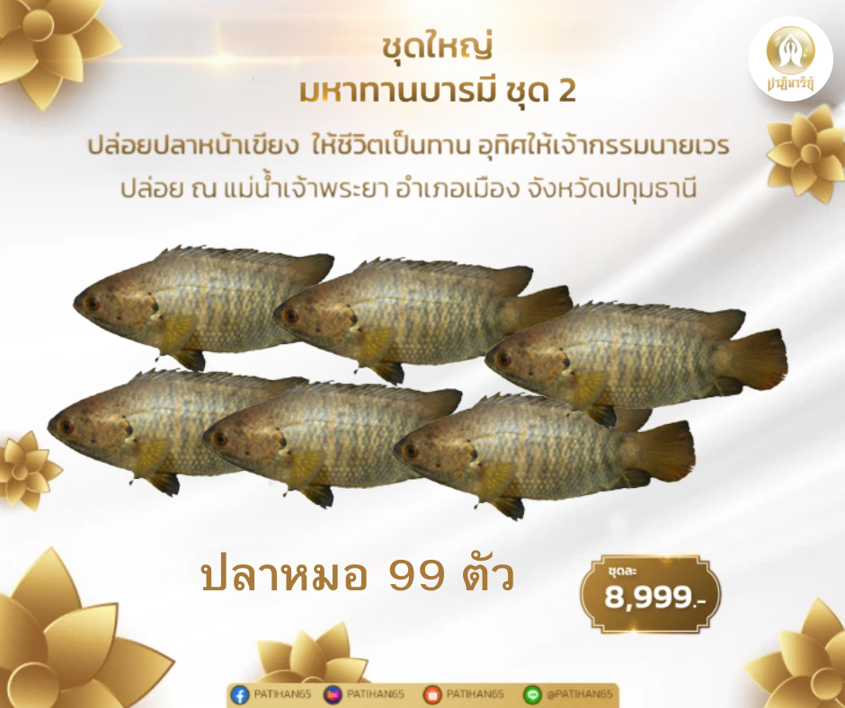 ปลาหมอ 99 ตัว