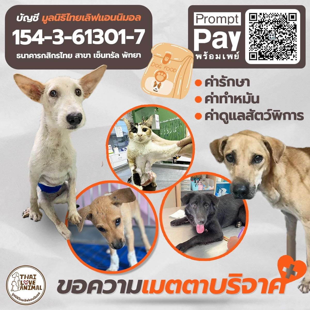 ร่วมบริจาคช่วยเหลือสัตว์ ทุกบาทต่อชีวิตให้หมาแมวจรจัด