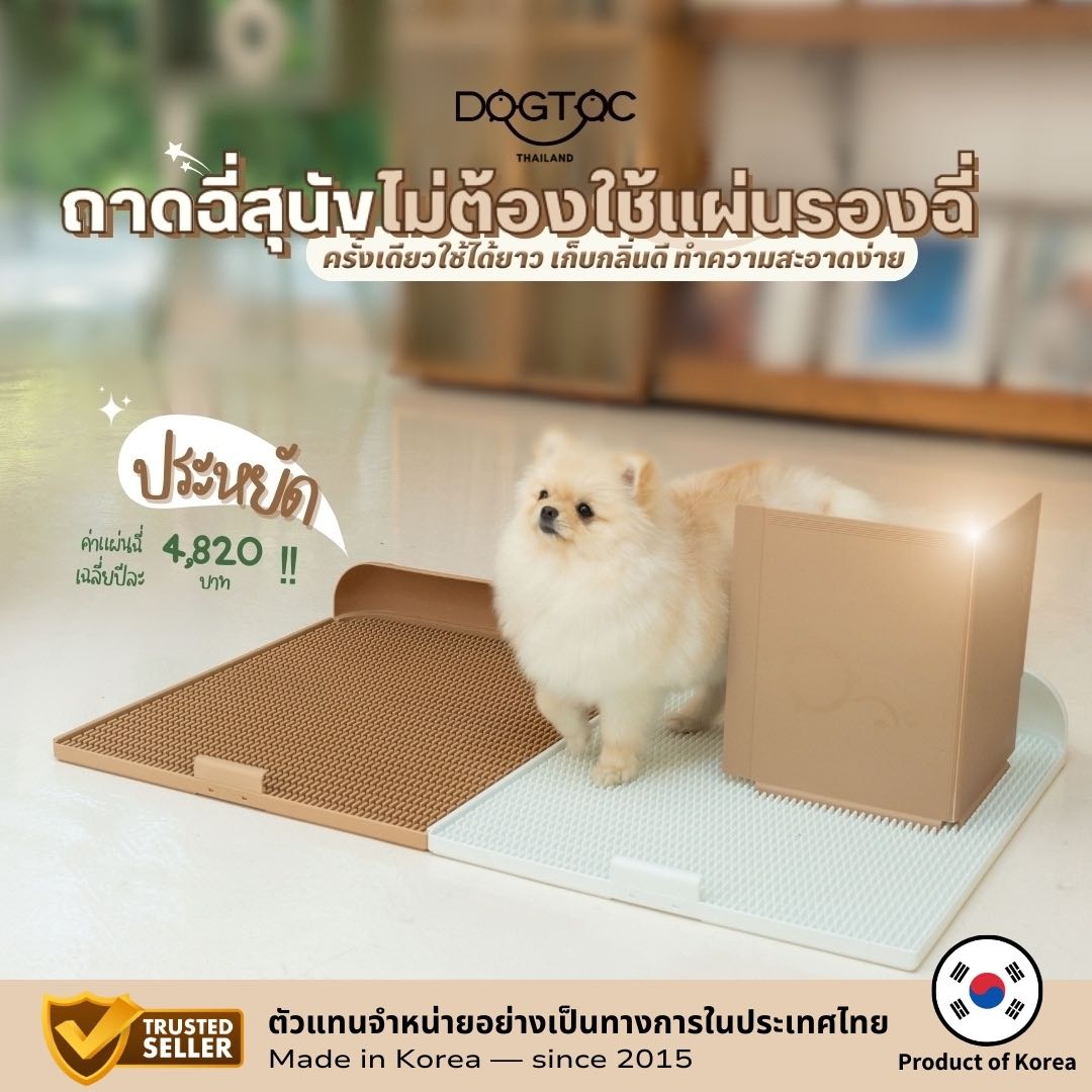 DOGTOC ถาดฉี่สุนัข ไซส์ L ไม่ต้องใช้แผ่นฉี่ เก็บกลิ่นดี นำเข้าจากเกาหลี 🇰🇷