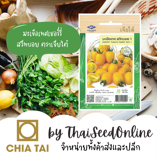 CTF1 เมล็ดพันธุ์ มะเขือเทศเชอร์รี่สีเหลืองสวีทบอย +/-28เมล็ด ตราเจียไต๋ Cherry Tomato