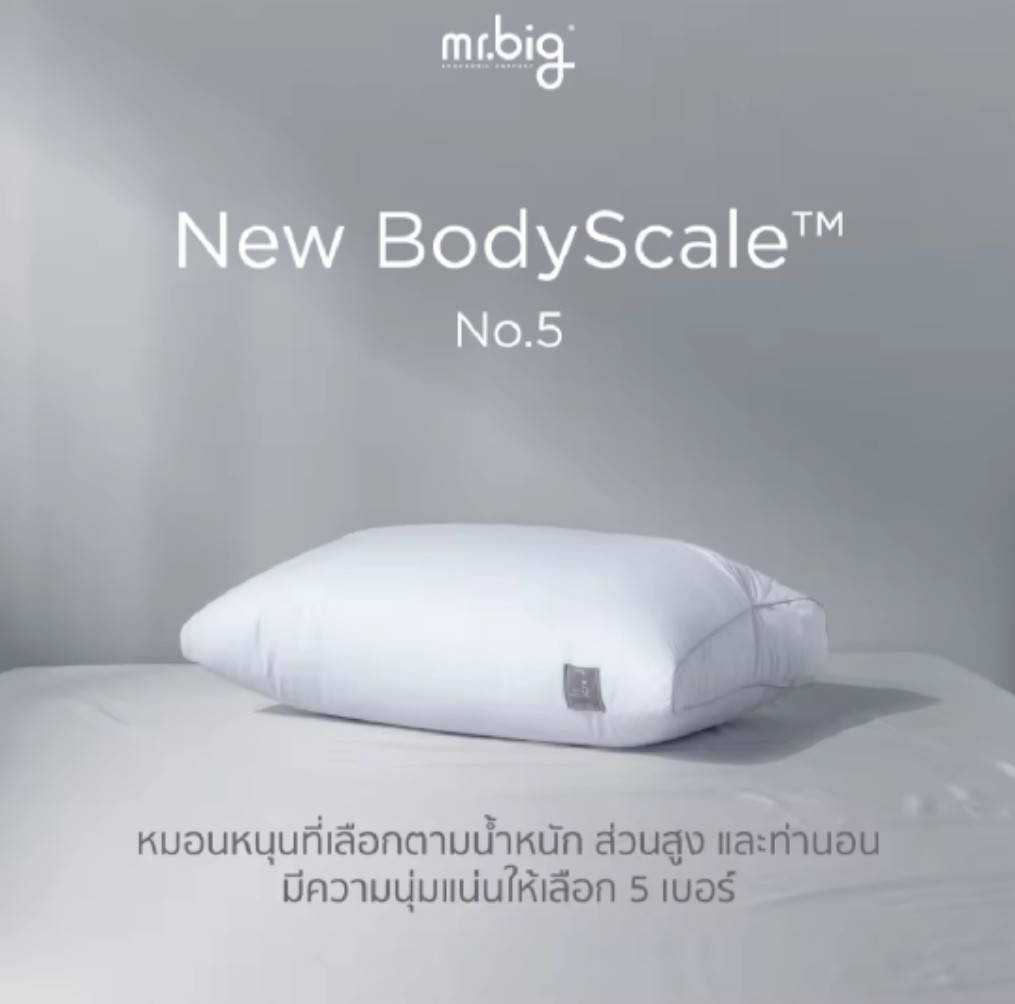 mr.big New BodyScale  Pillow No.5 : หมอนหนุนเลือกตามน้ำหนักส่วนสูงท่านอน