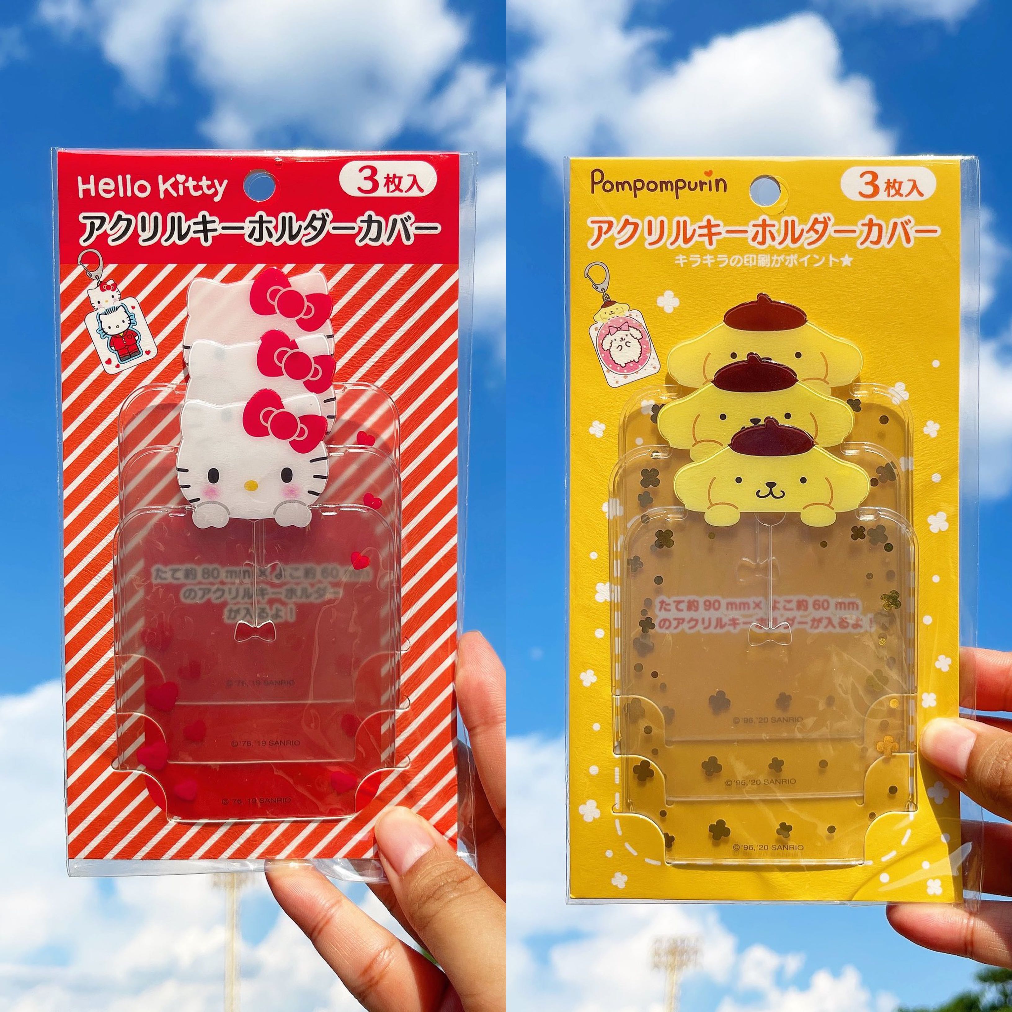 Sanrio Card Case