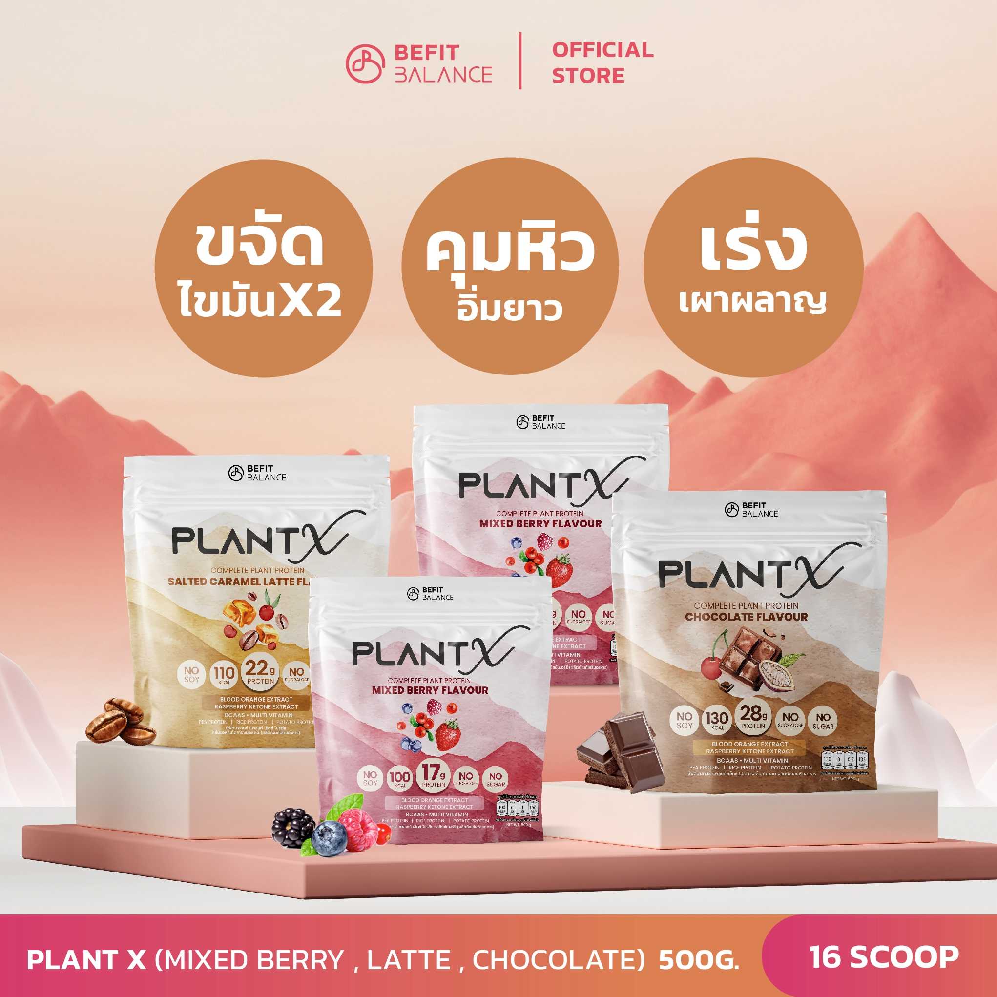 Set 4 Plant-X