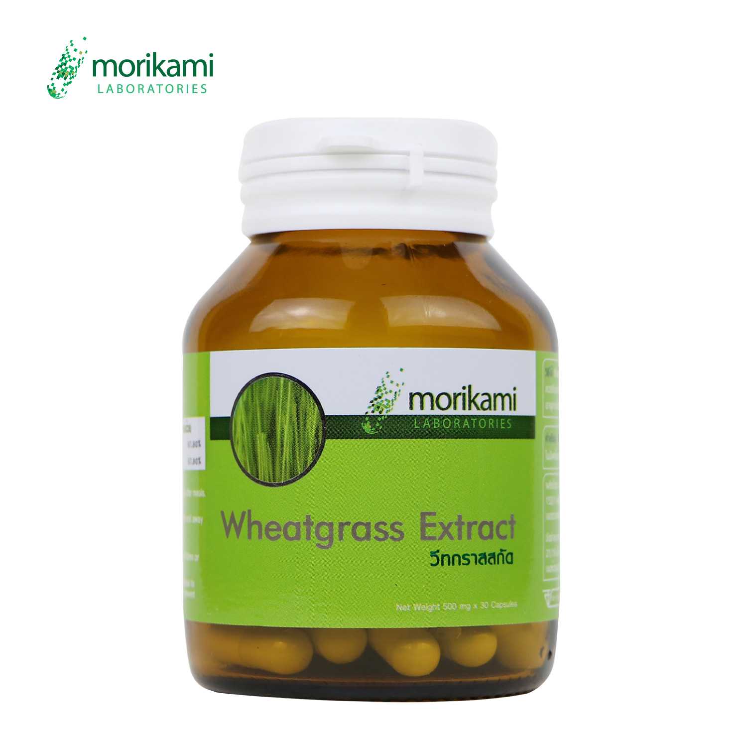 วีทกราส Wheatgrass x 1 ขวด โมริคามิ ลาบอราทอรีส์ morikami LABORATORIES