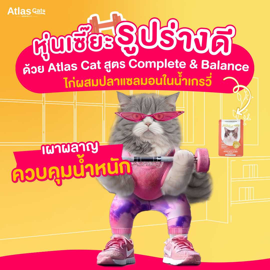 (แพ็ค 3) แอทลาส แคท อาหารแมวเปียก ไก่ผสมปลาแซลมอนในน้ำเกรวี่ 70g. สูตรควบคุมน้ำหนัก