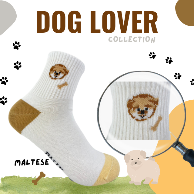 ถุงเท้าแฟชั่นข้อกลาง ฟรีไซส์ ลาย DOG LOVER COLLECTION : MALTESE