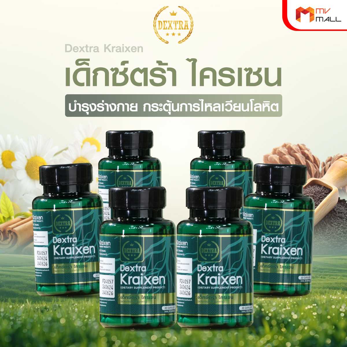 เด็กซ์ตร้า ไครเซน (Dextra Kraixen) บำรุงร่างกาย กระตุ้นการไหลเวียนโลหิต 6 กระปุก (20115013)