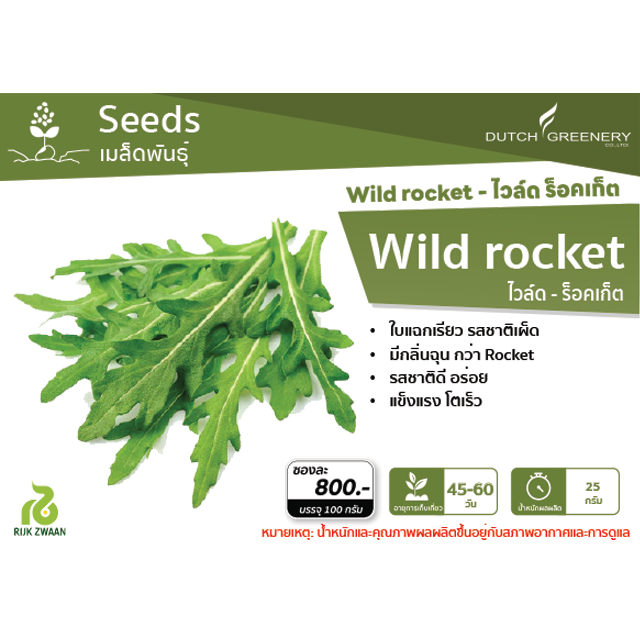 Wild rocket