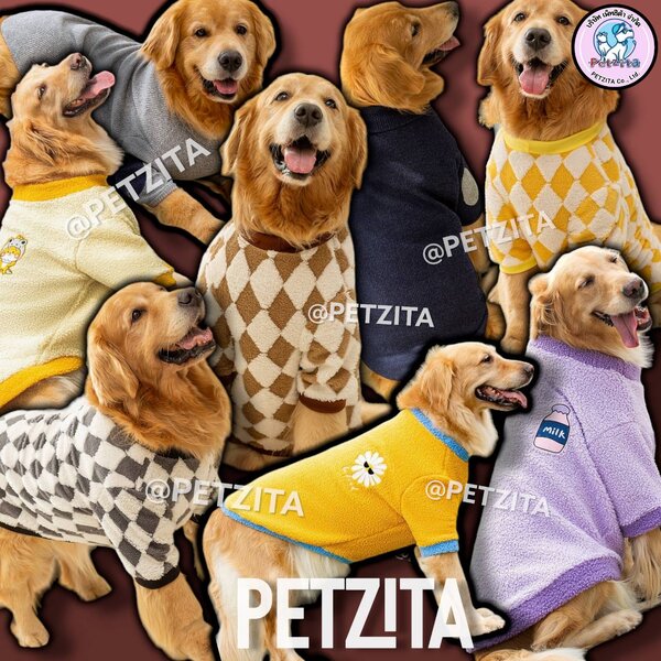 🇹🇭พร้อมส่ง🇹🇭 BIGSIZE - เสื้อแฟชั่น งานแบรนด์ สุนัขพันธุ์ใหญ่ หมาใหญ่ สุนัข สัตว์เลี้ยง