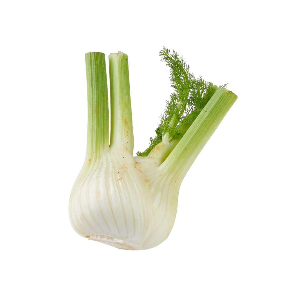 FG03007 เฟนเนลหัว Bulb Fennel ( 200g )