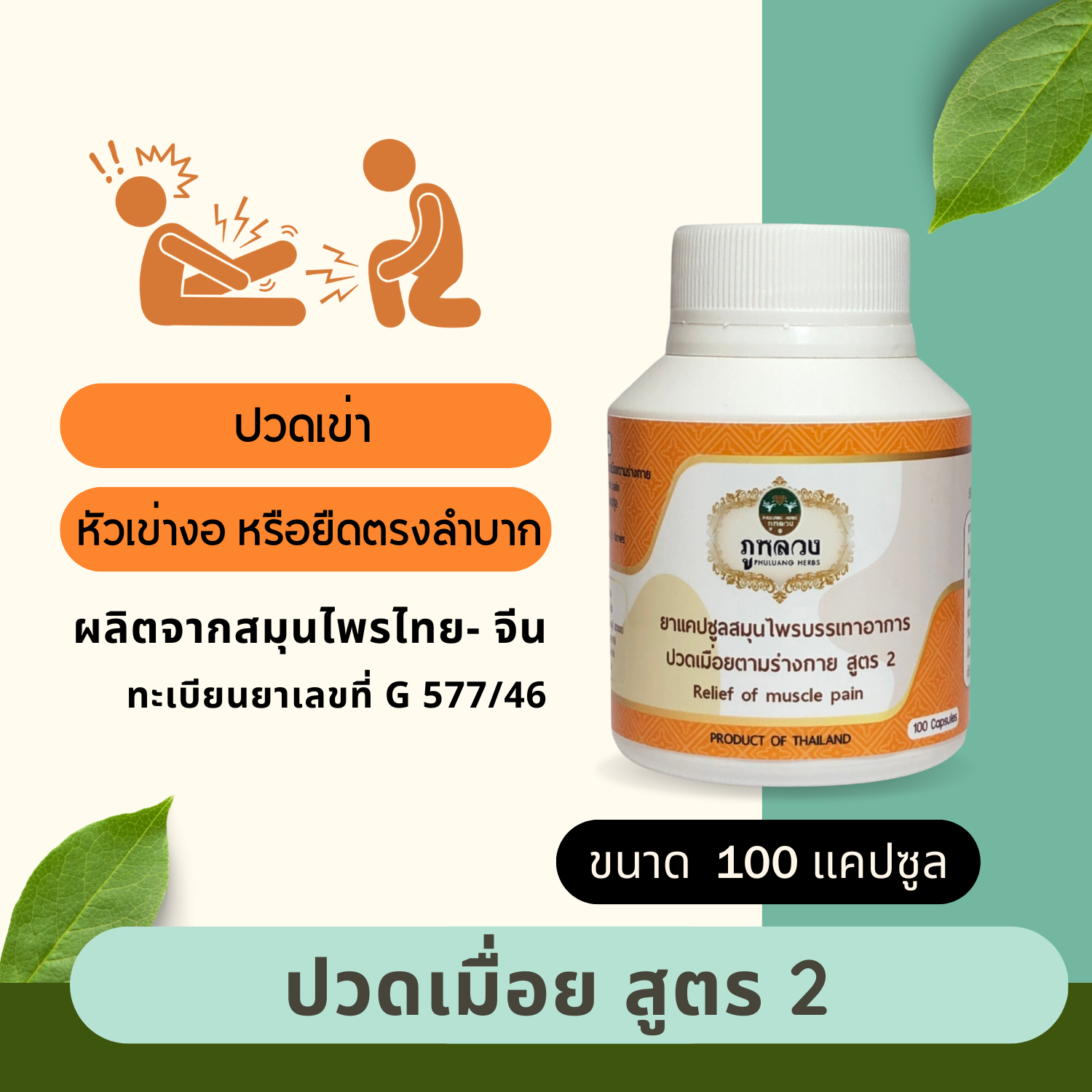 ปวดเข่า : บรรเทาอาการปวดเมื่อย สูตร 2 (ขนาดบรรจุ 100 แคปซูล)