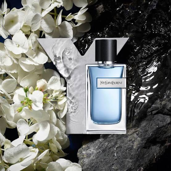 Ysl y edt 2022