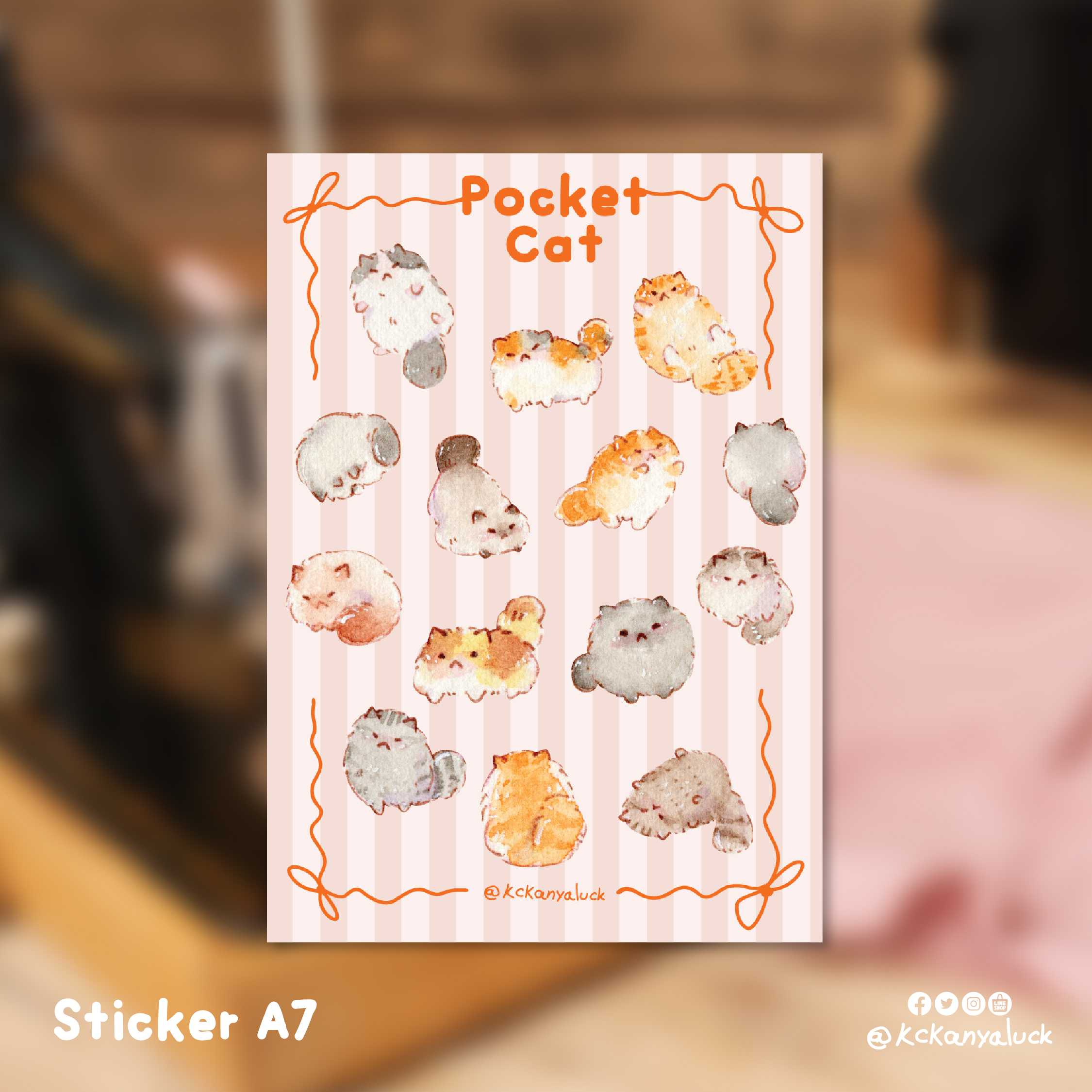 Sticker A7 :: Pocket Cat