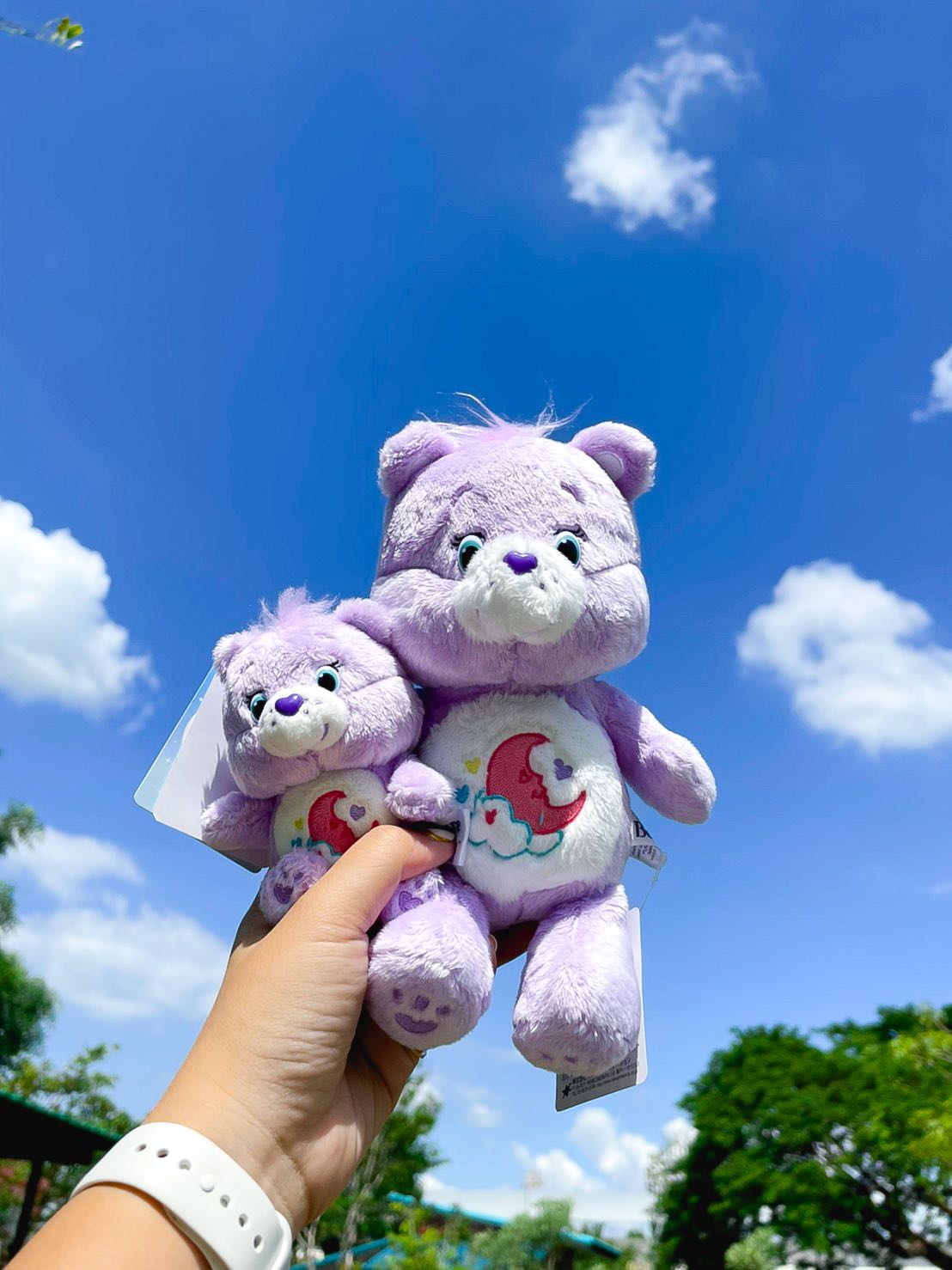 ตุ๊กตา carebears สีม่วง