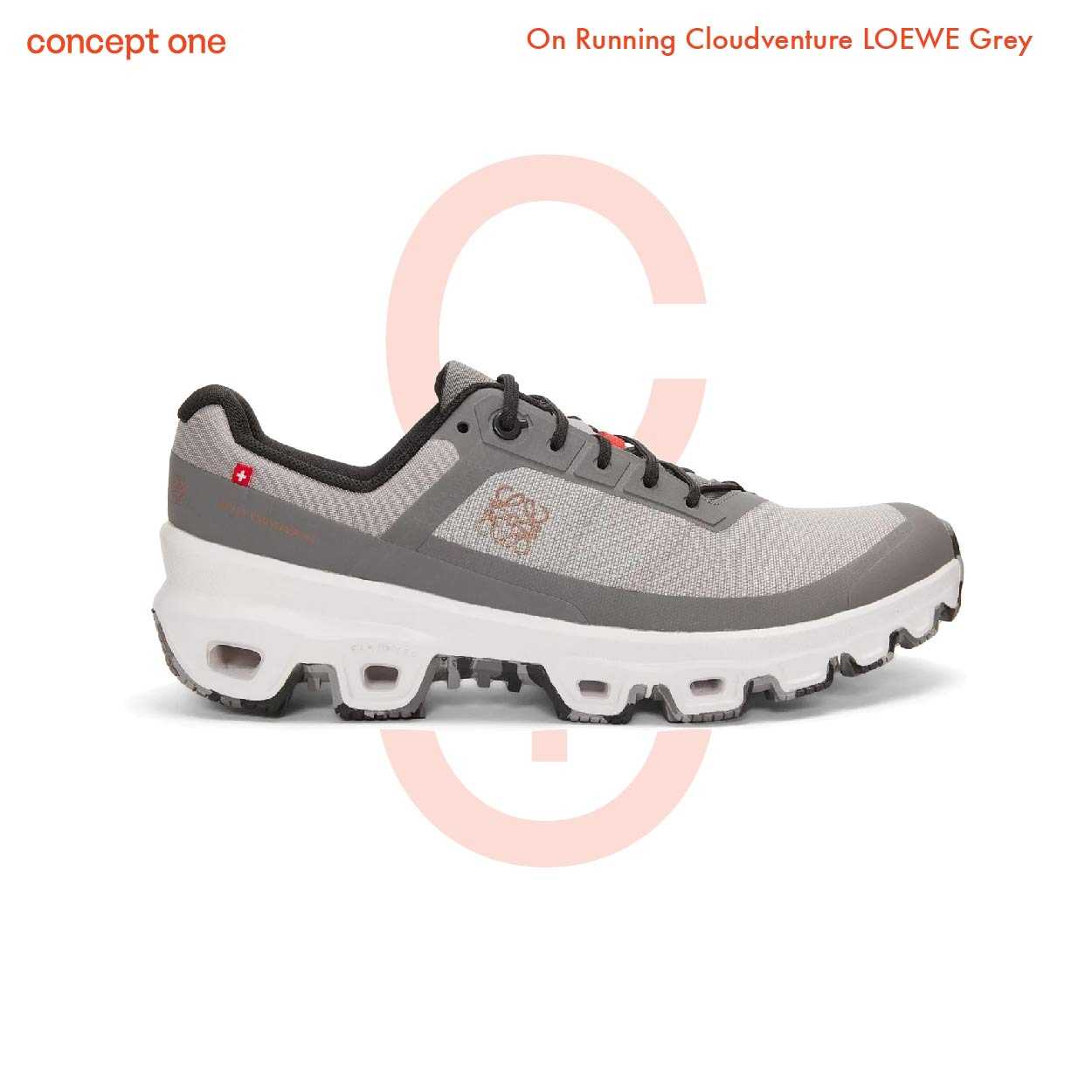 On Running Cloudventure LOEWE Grey (W)