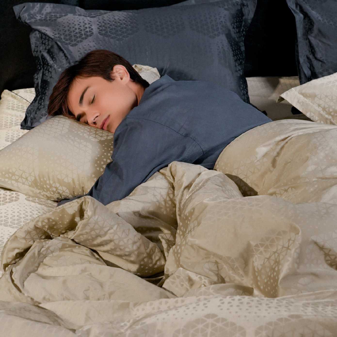 ชุดผ้าปูที่นอนรัดมุม ขนาด 5 ฟุต TRANSLUCENCE Collection 650 Series