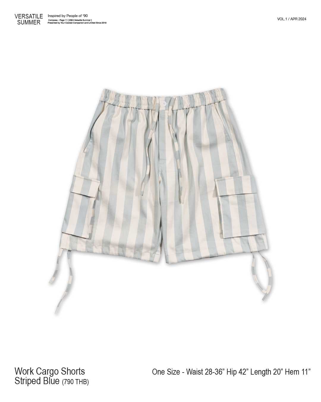 Work Cargo Shorts in Striped Blue