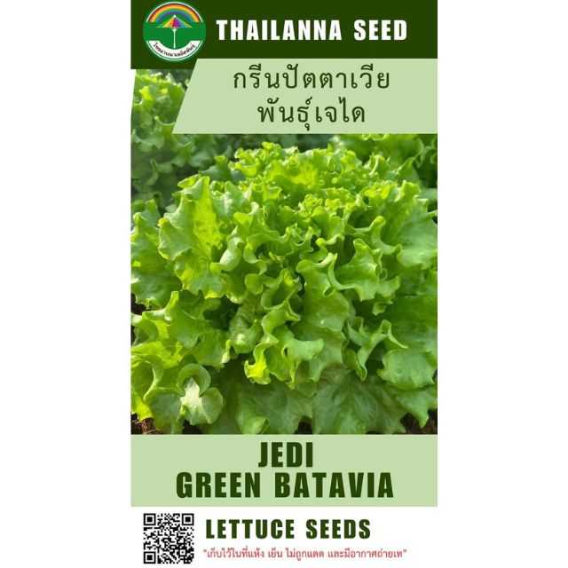 กรีนปัตตาเวีย พันธุ์เจได ( ขนาด 0.5 กรัม ) รหัสสินค้า 2028