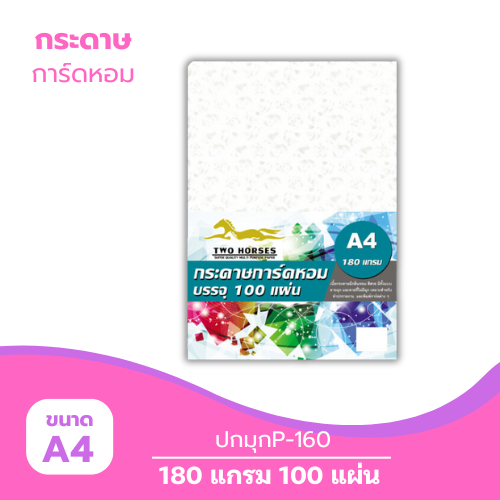 ปกมุก A4-P160 หนา 180g. ( 100 แผ่น )