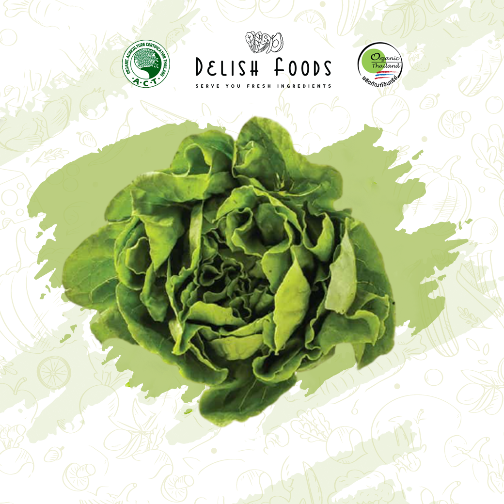 FG22005 ออร์แกนิค บัตเตอร์เฮด Butterhead Organic ( 250g )