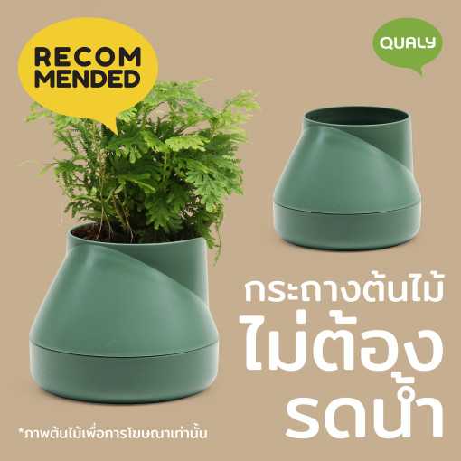 Hill Pot ขนาด S กระถางต้นไม้แบบรดน้ำอัตโนมัติ ไม่ต้องรดน้ำบ่อย Qualy (ควอลี่)