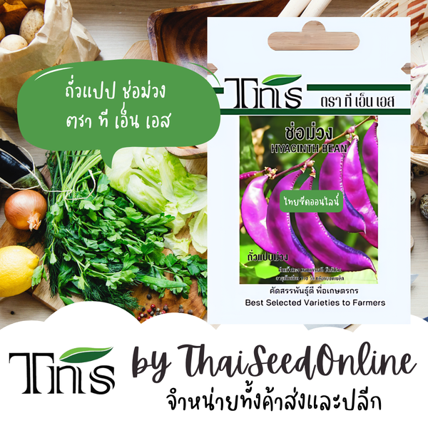 TNS(ทีเอ็นเอส) TNS เมล็ดพันธุ์แบบซองเล็ก ถั่วแปปม่วง ช่อม่วง ปริมาณ 4 กรัม ตรา ที เอ็น เอส Pea