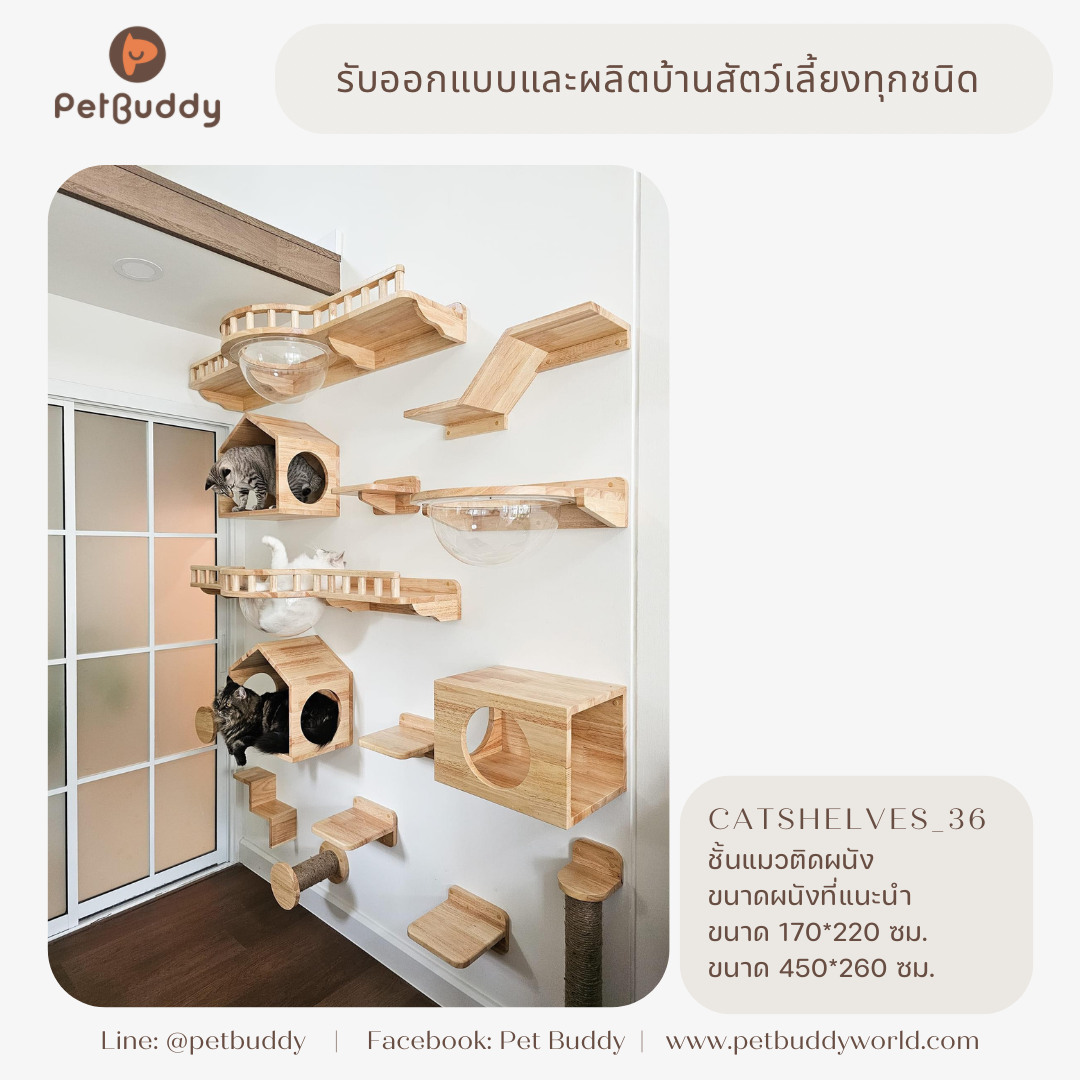 Catshelves_36 ชั้นแมวติดผนัง