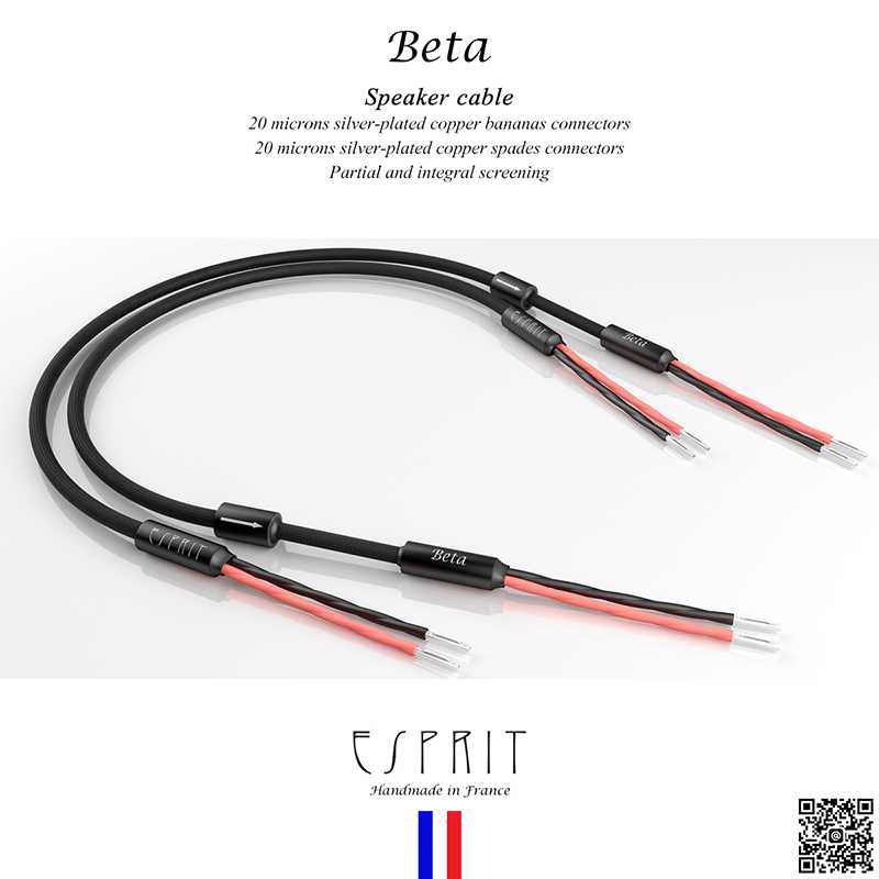 ESPRIT - BETA Speaker cable